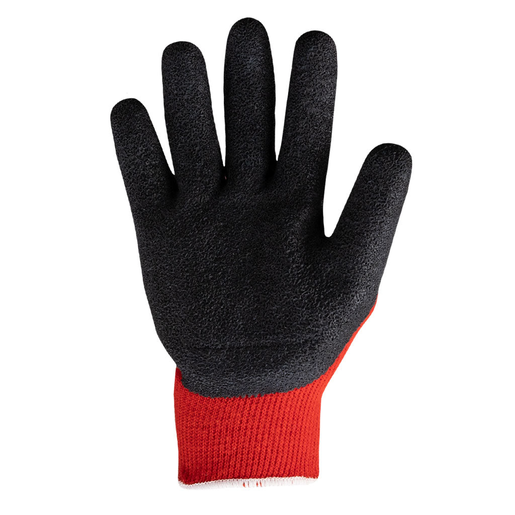 9011 palm of the right glove