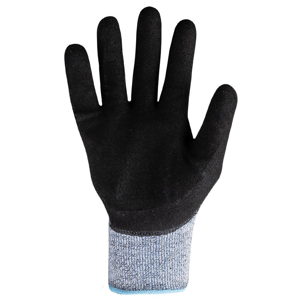 9013 palm of the right glove