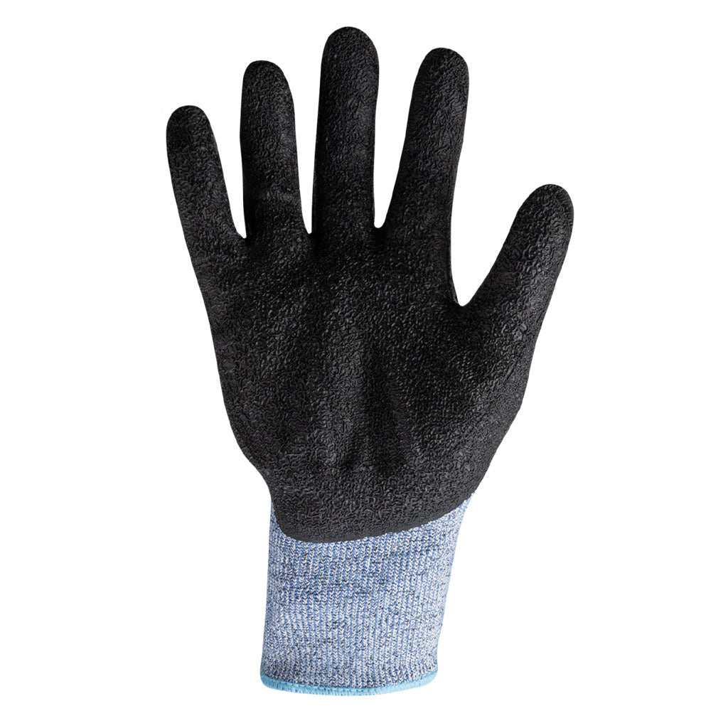 9015 palm of the right glove